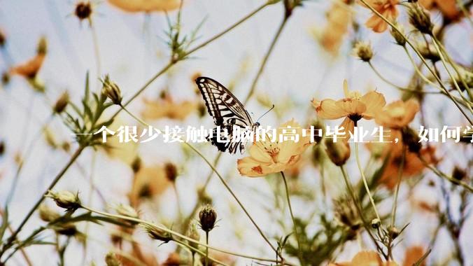 一个很少接触电脑的高中毕业生，如何学python?