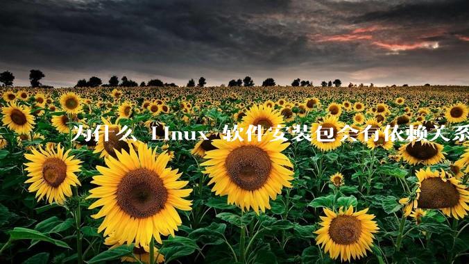 为什么 Linux 软件安装包会有依赖关系，而 Windows 软件安装包不需要？